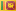 සිංහල